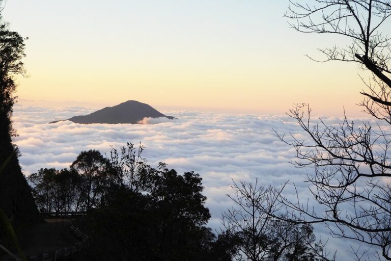 Bach Ma National Park: Hiking, Trekking in Da Nang and Hoi An – Central ...